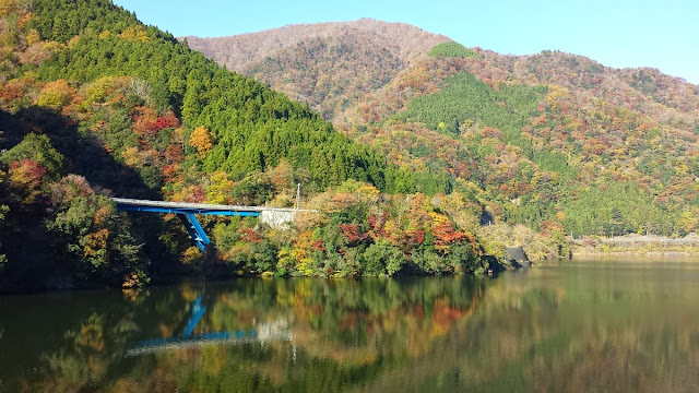 丹沢湖 紅葉