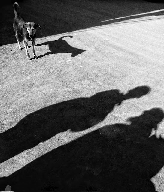 kashmir, srinagar, street, photography