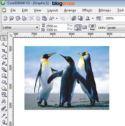 Cara Praktis Mengcroping Gambar Foto dengan Corel Draw