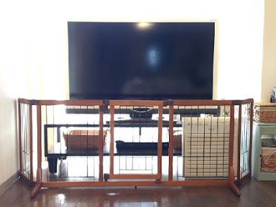 [ベスト] テレビ サークル 赤ちゃん 193750-テレビ サークル 赤ちゃん