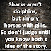 Sharks aren't dolphins, but simply horses with gills. So don't judge until you know both sides of the story.