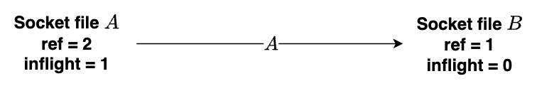 When the file descriptor A sends itself to the file descriptor B, the reference count of the file descriptor A is 2 and the inflight count is 1. For the receiver file descriptor B, the file reference count is 1 and the inflight count is 0.