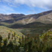 View album