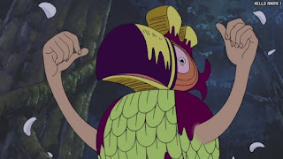 ワンピース アニメ 150話 サウスバード | ONE PIECE Episode 150