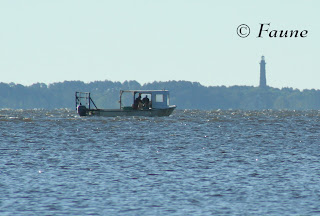 Watermen working carb pots Currituck Sound