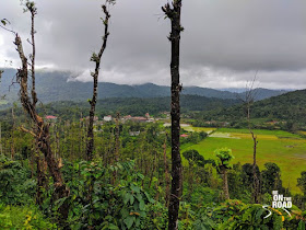 Lush green Bhagamandala temple town