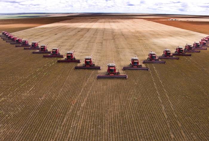 how to harvest in the fields in different countries of the world