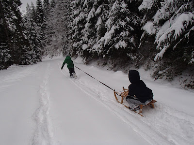 Pieniny, zima w Pieninach, zimowy spacer, zabawa na śniegu, jazda na sankach