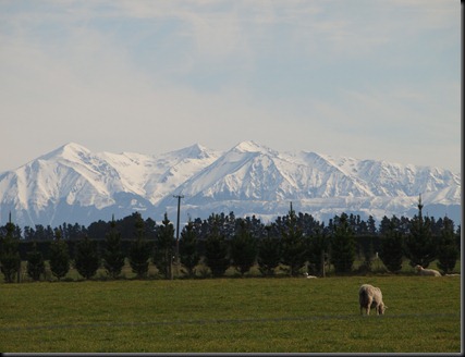 P8268584