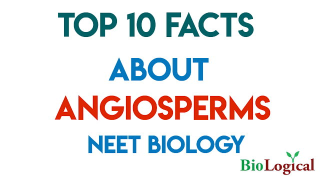 Top 10 facts about Angiosperms! NEET | NTA NEET | NEET UG EXAM