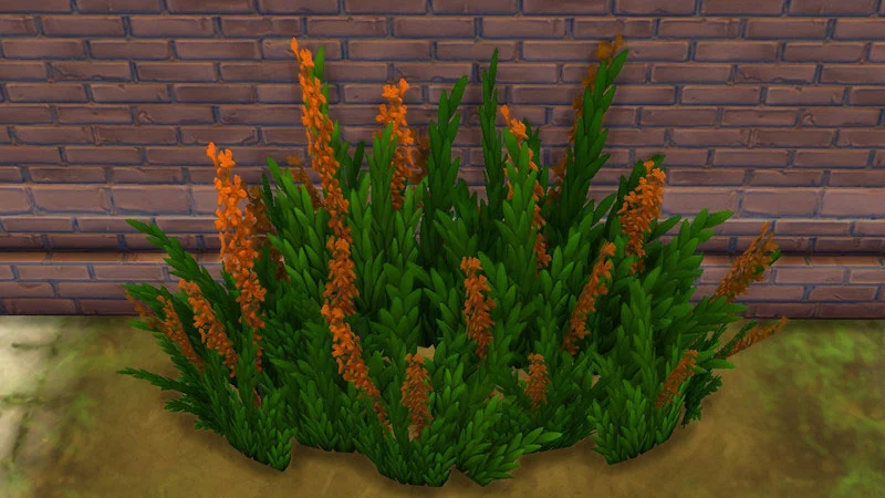 The Sims 4 Outdoor Plants