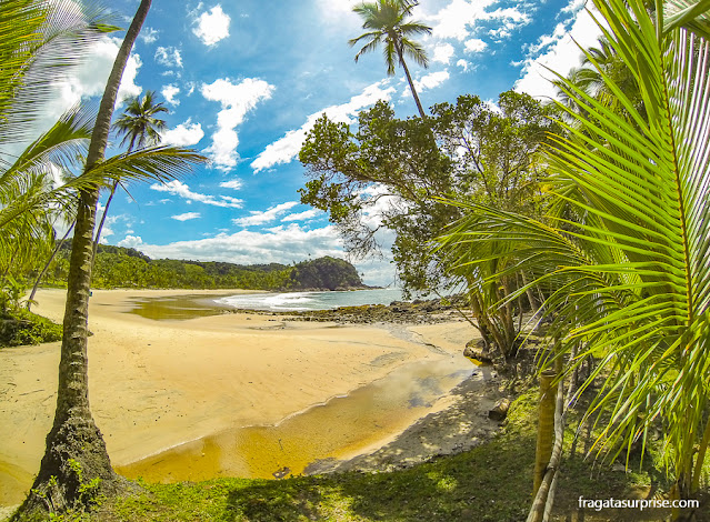 Prainha em Itacaré na Bahia