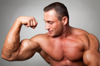 build muscle
