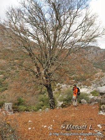 Peñón de Líbar