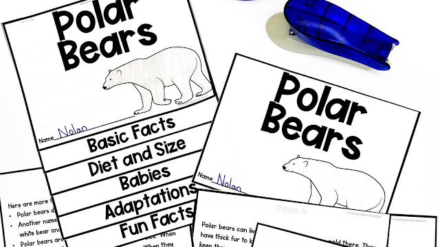 From vocabulary to fun facts, introducing your students to polar bears will be easy with engaging hands-on activities like these.
