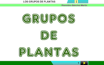 http://www.ceiploreto.es/sugerencias/cplosangeles.juntaextremadura.net/web/curso_4/naturales_4/grupos_plantas_4/grupos_plantas_4.html