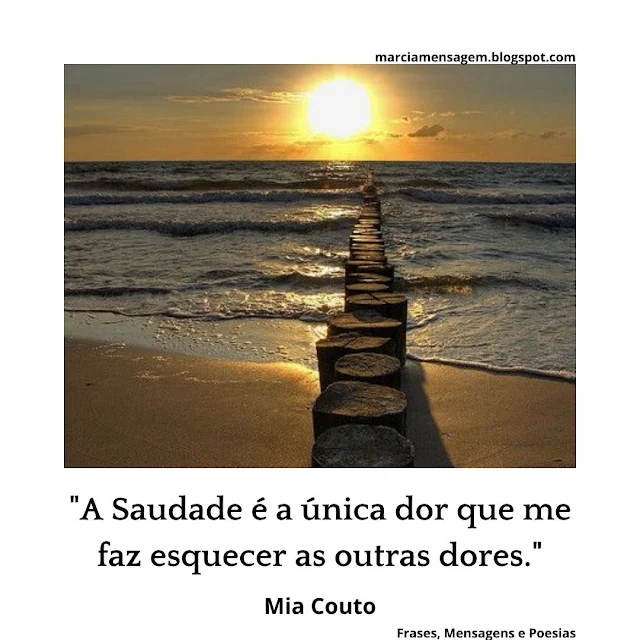 "A Saudade é a única dor que me faz esquecer as outras dores."  Mia Couto