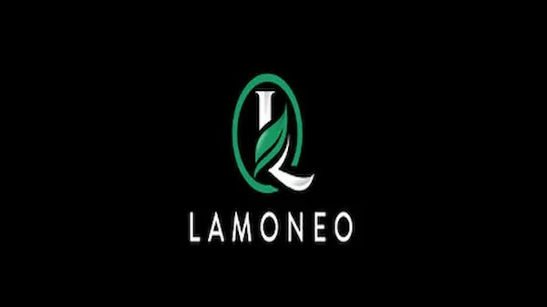 Lamoneo Free Download PC Game Cracked in Direct Link and Torrent.