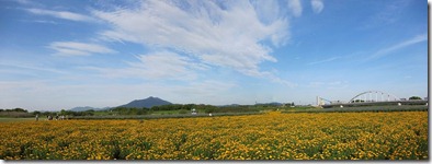 s-IMG_2914_stitch