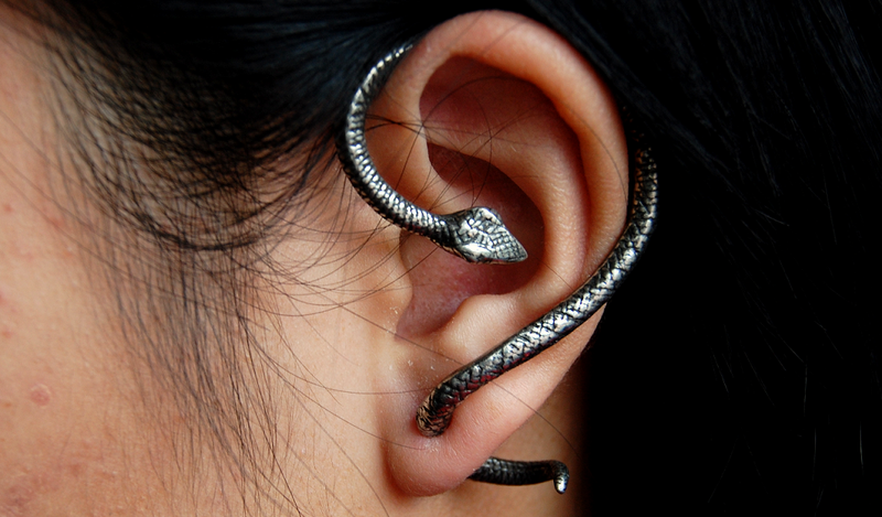 Snake Earrings on Hisssssterically Awesome Snake Earrings   The Beading Gem S Journal