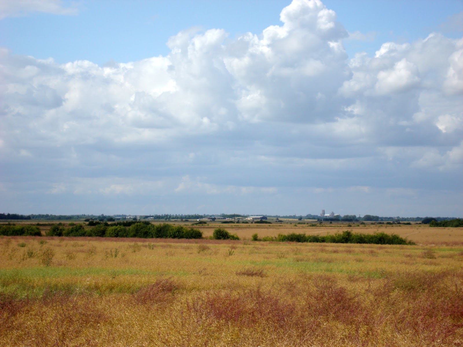 DSC09179.JPG