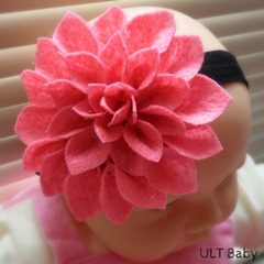 Pink dahlia 2 Pink dahlia 2