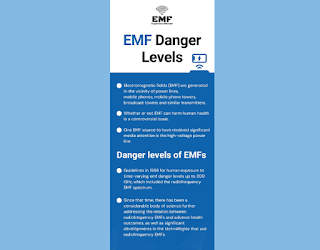 EMF Danger level