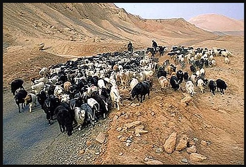 iklim-kering-basin-tarim