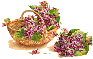 flower violet basket download image