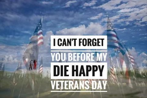 Veterans day quotes 