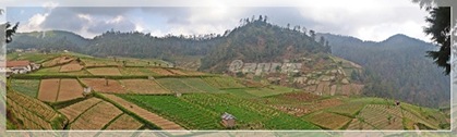 Kaki Gunung Lawu