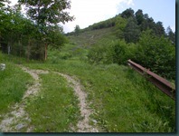 DSCN1709