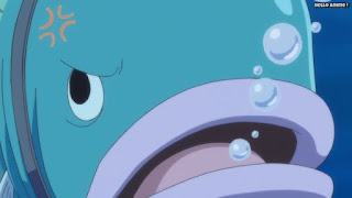 ワンピースアニメ 魚人島編 534話 | ONE PIECE Episode 534