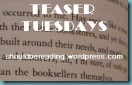 teasertuesdays31