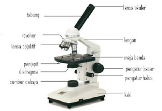 Alat Optik (Pengertian, Jenis, Macam, dan Gambar)