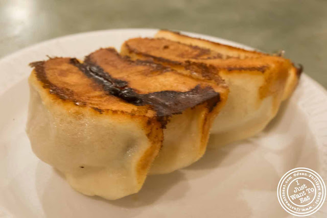 Image of Fried Pork Dumplings at Vanessa's Dumpling House in NYC, New York