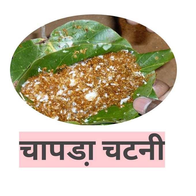 बस्तर का परम्पारिक खाद्य पदार्थ चापडा़ चटनी