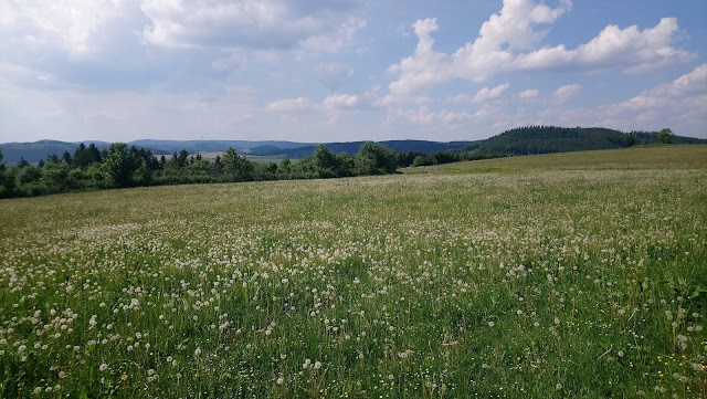 Sauerland wandern Wetter blog Bericht Hollenmarsch 2018 101km Rothaargebirge Hunau Schmallenberger Rundweg SR Winterberg Hochtour WHT Rothaarsteig X6 Robert-Kolb-Weg X27 Friedrich-Wilhelm-Grimme-Weg E1 europäischer Fernwanderweg X25 Hunauweg X10 Wilhelm-Münker-Weg X14 Astenweg Höhenflug