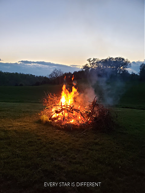 Jurassic Park Party Bonfire