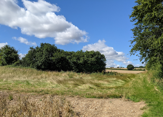 Turn left before the line of trees, still on Kimpton footpath 54