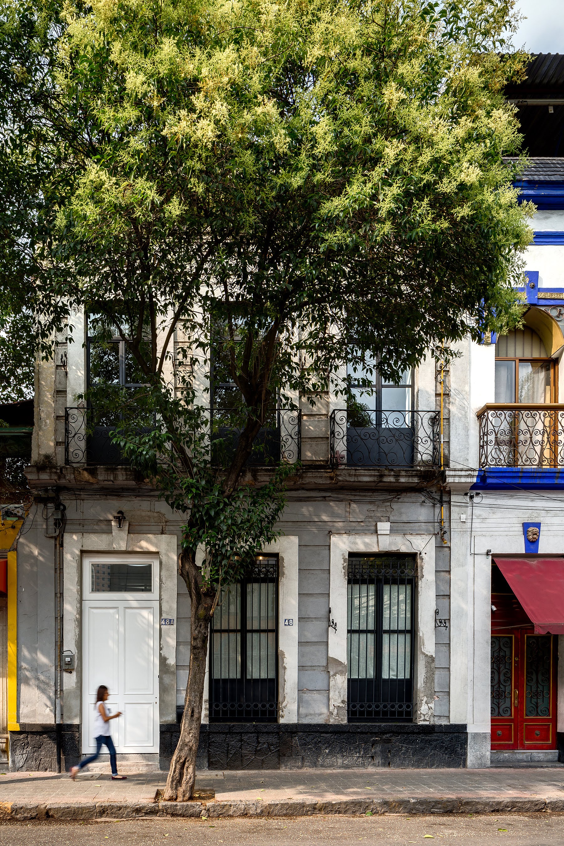 Restauración sustentable en la Ciudad de México - Tapia McMahon