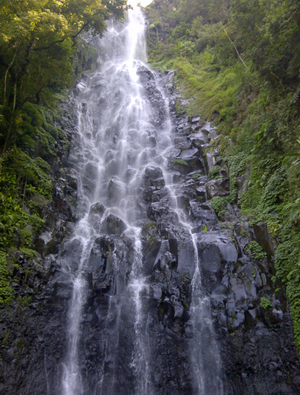 tempat Wisata Air Terjun Ngleyangan yang Tersembunyi