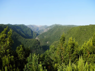 Panorama Los Tilos