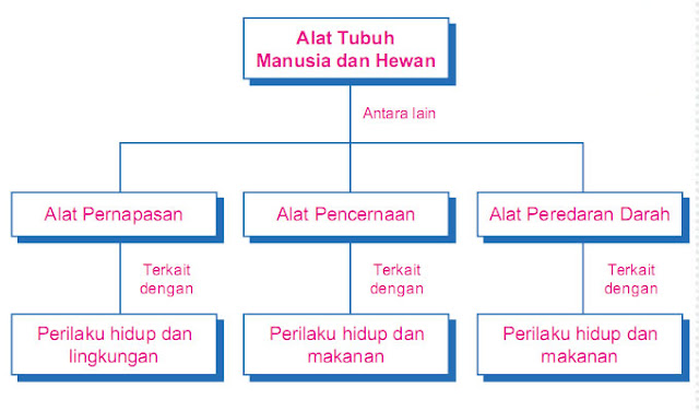 Contoh Identifikasi Masalah Dalam Pembuatan Makalah 