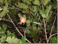 DSC00044