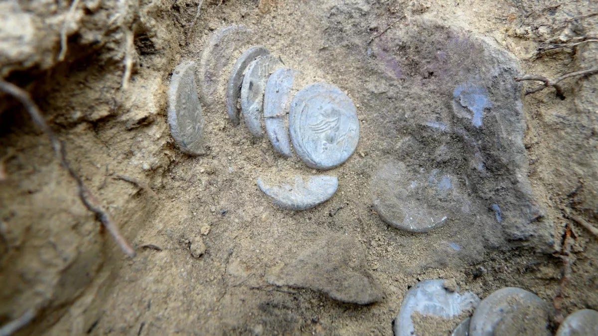Ο θησαυρός των 175 ασημένιων ρωμαϊκών νομισμάτων, αξίας δεκάδων χιλιάδων δολαρίων σε σημερινά χρήματα μόνο σε ονομαστική αξία, βρέθηκε το 2021 κοντά στο Λιβόρνο στην Τοσκάνη. [Credit: Franco Sammartino]
