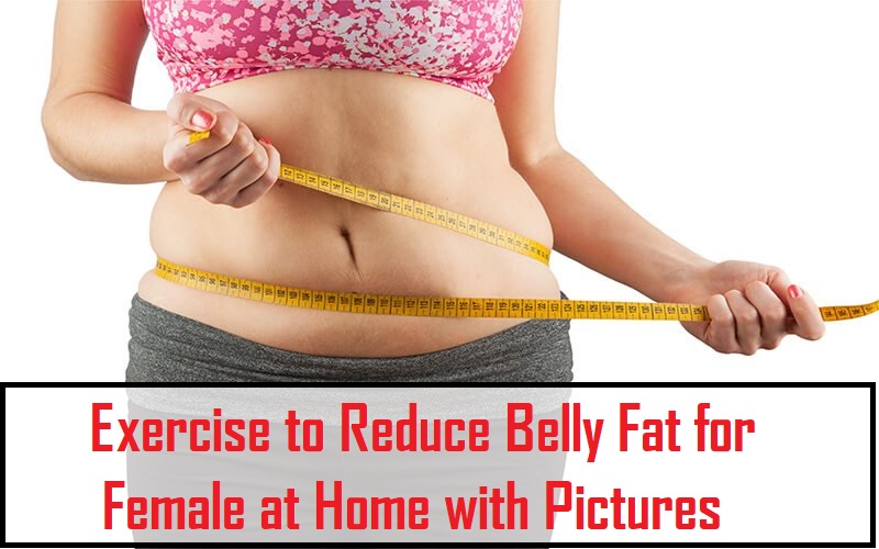 Exercise to Reduce Belly Fat for Female at Home with Pictures