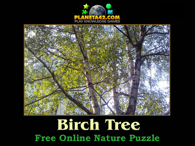 Birch Tree Puzzle