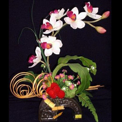 The Art of Orchid Arrangement