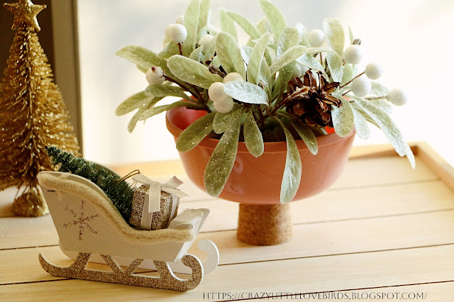 Wintery foliage bowl display